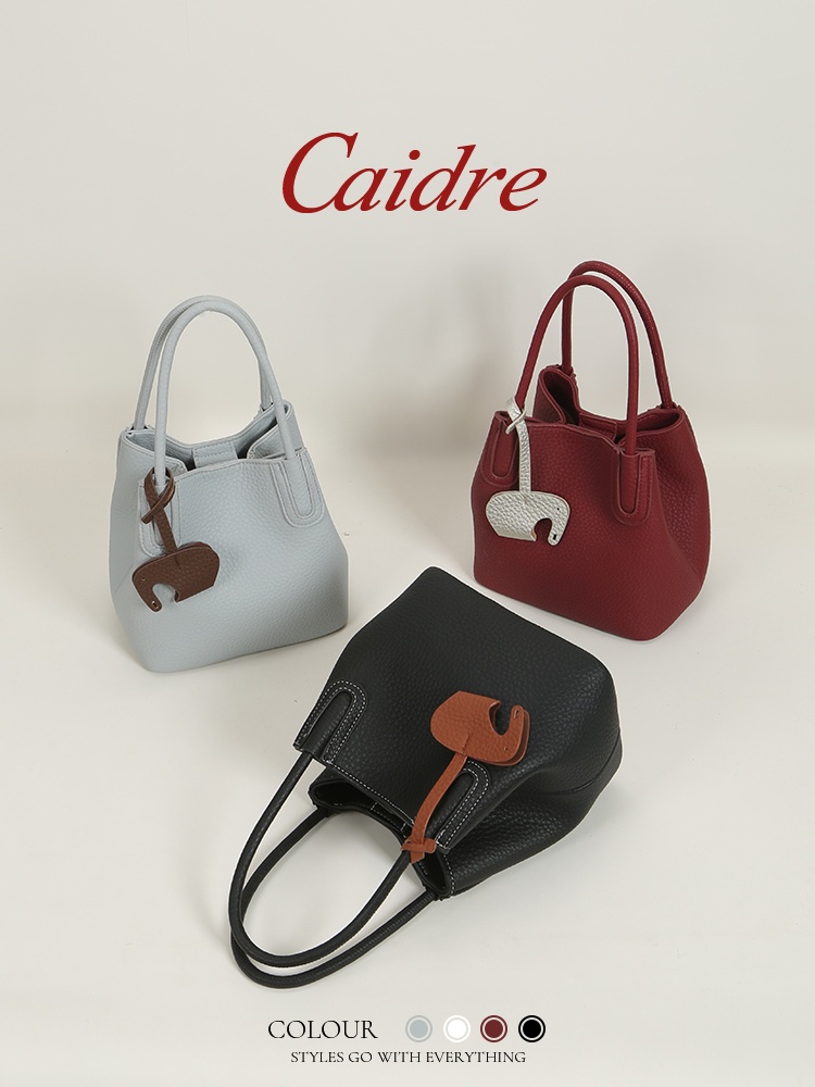 Borsa Tote di Lusso Caidre 202 - Luxury Bags Japan recensione e prezzo